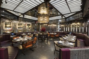 Mott 32